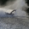 image-wakeboarding-wakeskating-photos.jpg