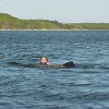 image-wakeboarding-wakeskating-photos.jpg