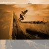 image-wakeboarding-wakeskating-photos.jpg