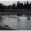 image-wakeboarding-wakeskating-photos.jpg