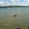 image-wakeboarding-wakeskating-photos.jpg