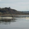 image-wakeboarding-wakeskating-photos.jpg