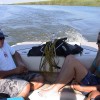 image-wakeboarding-wakeskating-photos.jpg