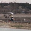 image-wakeboarding-wakeskating-photos.jpg