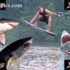 image-wakeboarding-wakeskating-photos.jpg