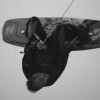 image-wakeboarding-wakeskating-photos.jpg