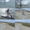 image-wakeboarding-wakeskating-photos.jpg