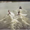 image-wakeboarding-wakeskating-photos.jpg