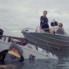 image-wakeboarding-wakeskating-photos.jpg