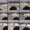 image-wakeboarding-wakeskating-photos.jpg