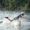 image-wakeboarding-wakeskating-photos.jpg