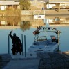 image-wakeboarding-wakeskating-photos.jpg
