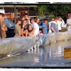 image-wakeboarding-wakeskating-photos.jpg