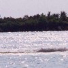 image-wakeboarding-wakeskating-photos.jpg