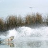 image-wakeboarding-wakeskating-photos.jpg