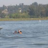 image-wakeboarding-wakeskating-photos.jpg