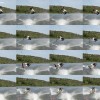 image-wakeboarding-wakeskating-photos.jpg
