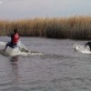 image-wakeboarding-wakeskating-photos.jpg