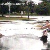 image-wakeboarding-wakeskating-photos.jpg