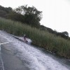 image-wakeboarding-wakeskating-photos.jpg