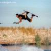 image-wakeboarding-wakeskating-photos.jpg