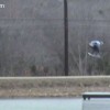 image-wakeboarding-wakeskating-photos.jpg