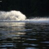image-wakeboarding-wakeskating-photos.jpg