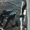 image-wakeboarding-wakeskating-photos.jpg