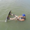 image-wakeboarding-wakeskating-photos.jpg
