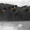 image-wakeboarding-wakeskating-photos.jpg