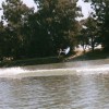 image-wakeboarding-wakeskating-photos.jpg