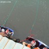 image-wakeboarding-wakeskating-photos.jpg