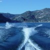 image-wakeboarding-wakeskating-photos.jpg