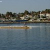 image-wakeboarding-wakeskating-photos.jpg
