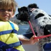 image-wakeboarding-wakeskating-photos.jpg