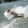 image-wakeboarding-wakeskating-photos.jpg