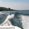 image-wakeboarding-wakeskating-photos.jpg