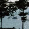 image-wakeboarding-wakeskating-photos.jpg