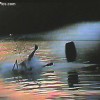 image-wakeboarding-wakeskating-photos.jpg