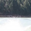 img_0431-wakeboarding-wakeskating-photos.jpg