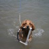 img_3978-wakeboarding-wakeskating-photos.jpg