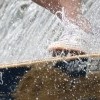img_9583-wakeboarding-wakeskating-photos.jpg