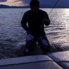 jumping-in-wakeboarding-wakeskating-photos.jpg