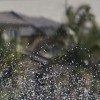 picture-007-wakeboarding-wakeskating-photos.jpg