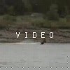 video-wakeboarding-wakeskating-photos.mp4