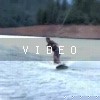 video-wakeboarding-wakeskating-photos.mp4