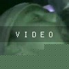 video-wakeboarding-wakeskating-photos.mp4