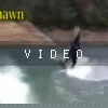 video-wakeboarding-wakeskating-photos.mp4