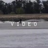 video-wakeboarding-wakeskating-photos.mp4
