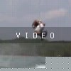 video-wakeboarding-wakeskating-photos.mp4
